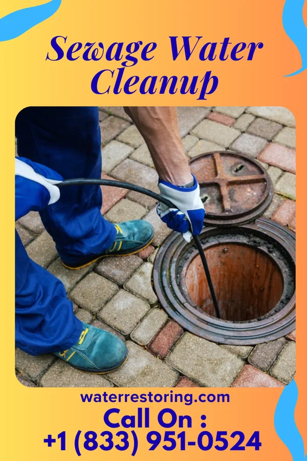 Sewage Water Cleanup in Highland, KS