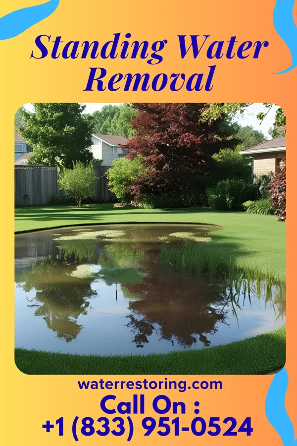 Standing Water Removal in Highland, KS